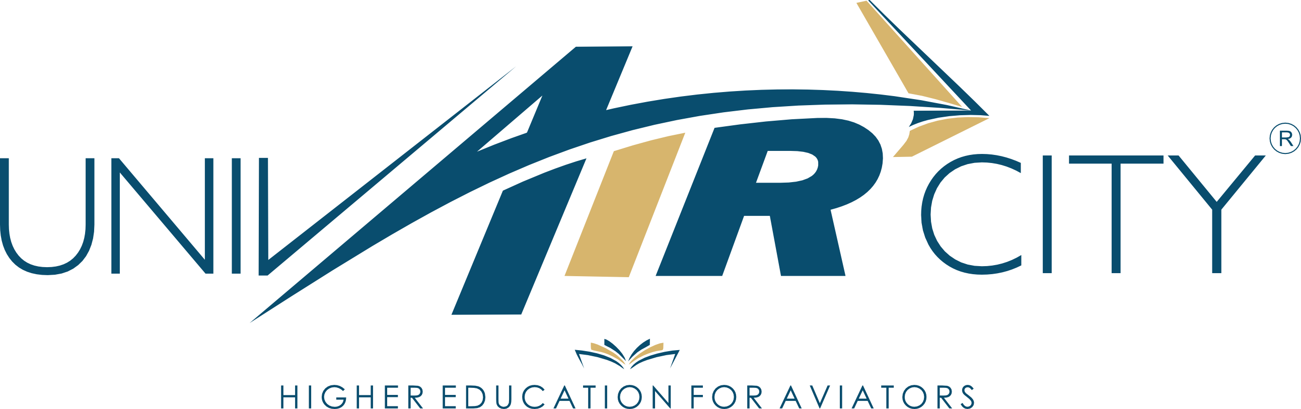 Univaircity Logo